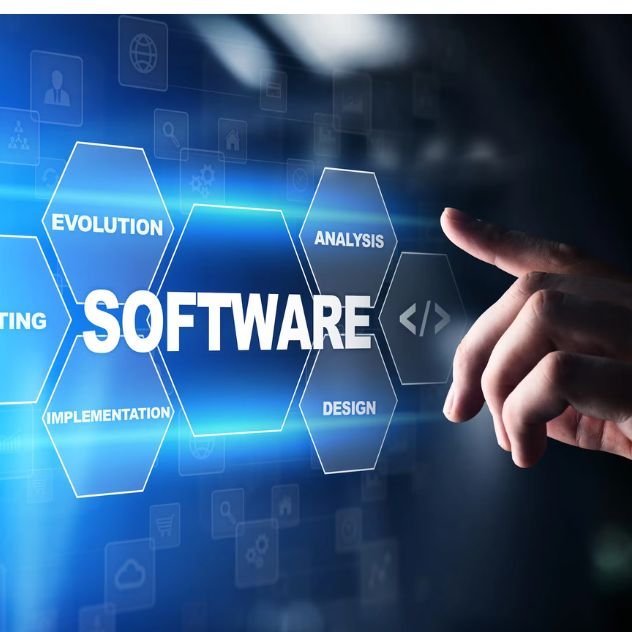 software consulting